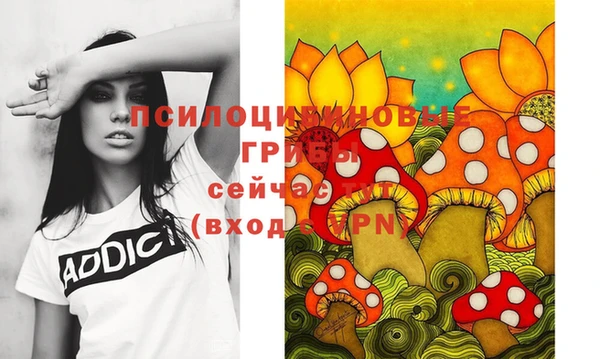 spice Абинск