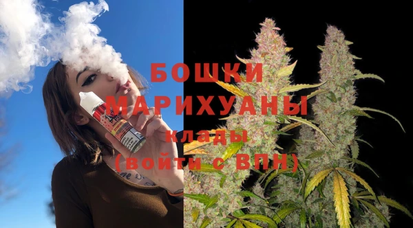 винт Абаза
