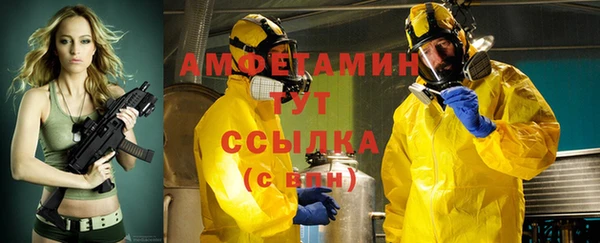 винт Абаза
