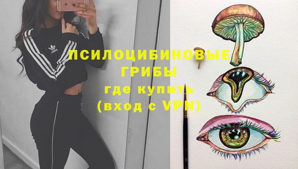 винт Абаза